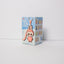 THE MONSTERS – Pin for Love Series Vinyl Plush Pendant Labubu