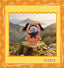 TOP TOY – Naruto “Beast Party” Plush Keychain