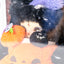 LOKIKI – Wonderful night series Pumpkin Bunny Limited Plush