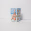 THE MONSTERS – Pin for Love Series Vinyl Plush Pendant Labubu