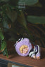 Wendy Garden Treasure Hunt Series Plush Dolls